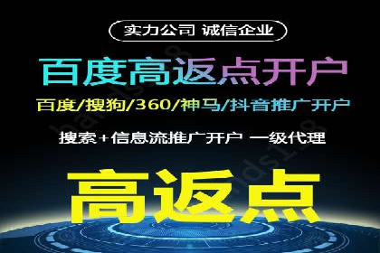 电商行业SEM运营的挑战与成功案例